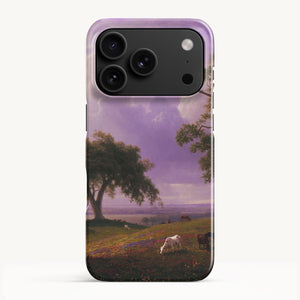 iPhone 17 Pro / Slim Case
