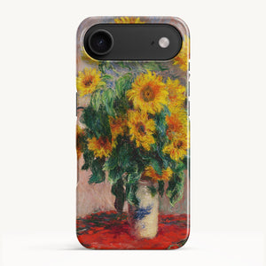 iPhone 17 Air / Slim Case
