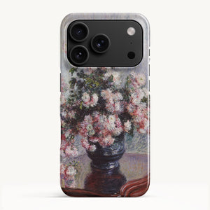 iPhone 17 Pro / Slim Case