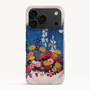 iPhone 17 Pro / Slim Case