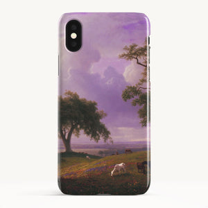 iPhone XS / Slim Case